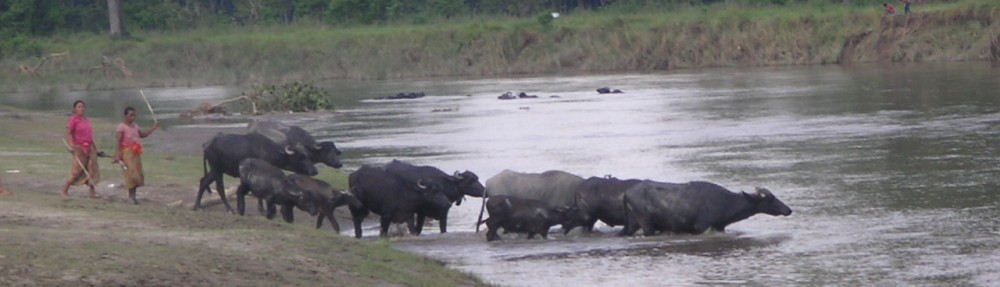 Had we but world enough and time…