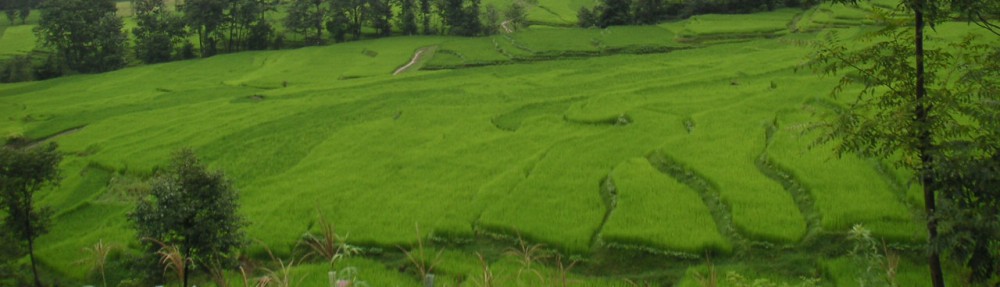 Had we but world enough and time…