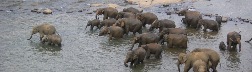 Had we but world enough and time…