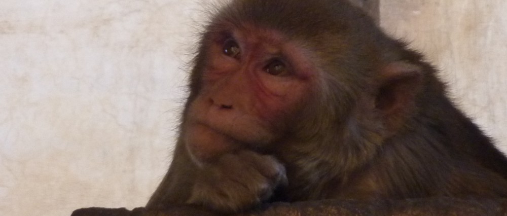 Had we but world enough and time…