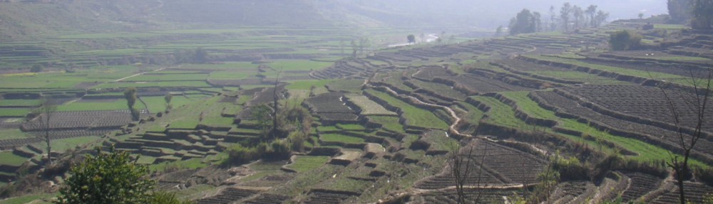 Had we but world enough and time…