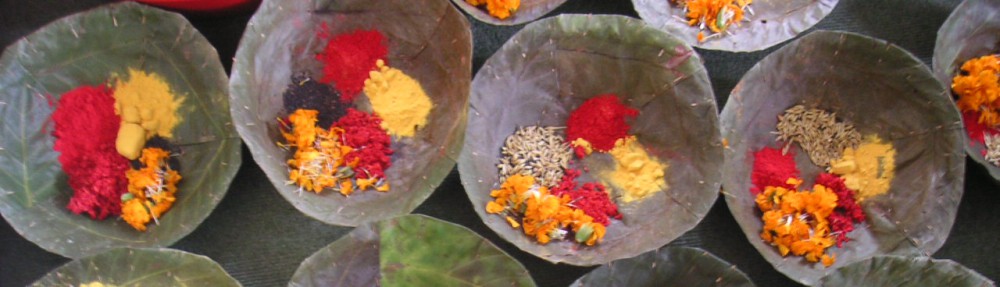 Had we but world enough and time…