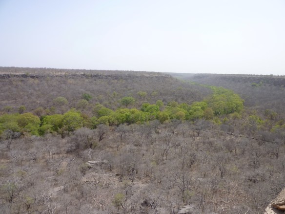 Guess where the riverbed goes? 