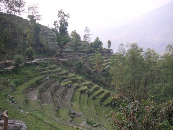 KONICA MINOLTA DIGITAL CAMERA