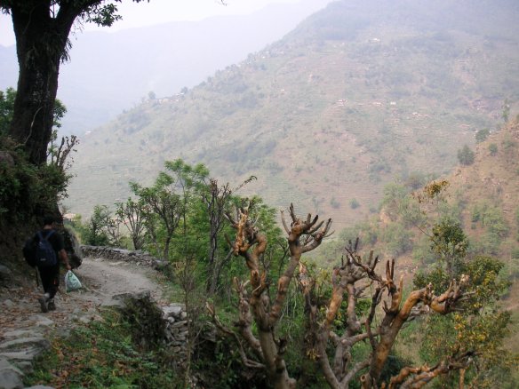 KONICA MINOLTA DIGITAL CAMERA