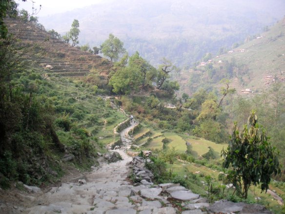 KONICA MINOLTA DIGITAL CAMERA