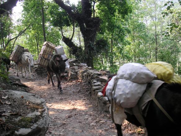 KONICA MINOLTA DIGITAL CAMERA