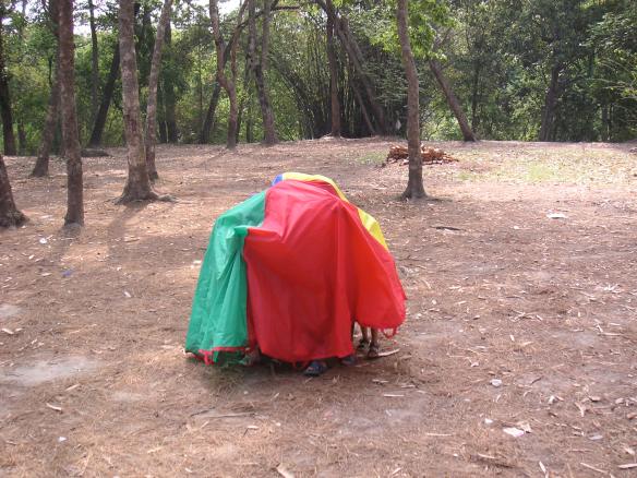 Some extremely subtle hiding. Excellent camouflage...