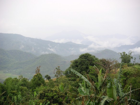 KONICA MINOLTA DIGITAL CAMERA