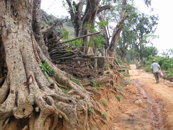 KONICA MINOLTA DIGITAL CAMERA