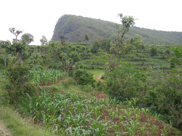 KONICA MINOLTA DIGITAL CAMERA