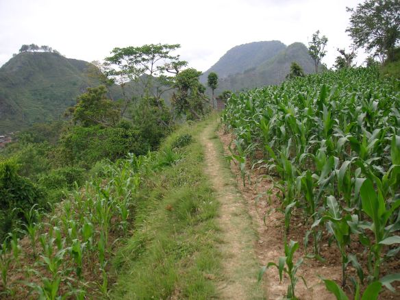 KONICA MINOLTA DIGITAL CAMERA