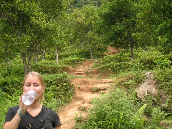 KONICA MINOLTA DIGITAL CAMERA