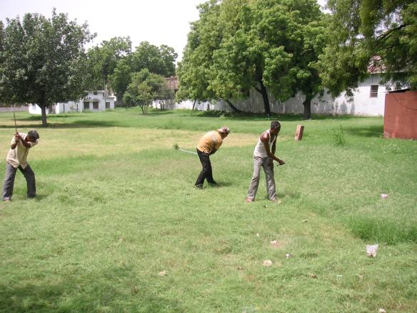 Cutting grass with a scythe, old-school style.