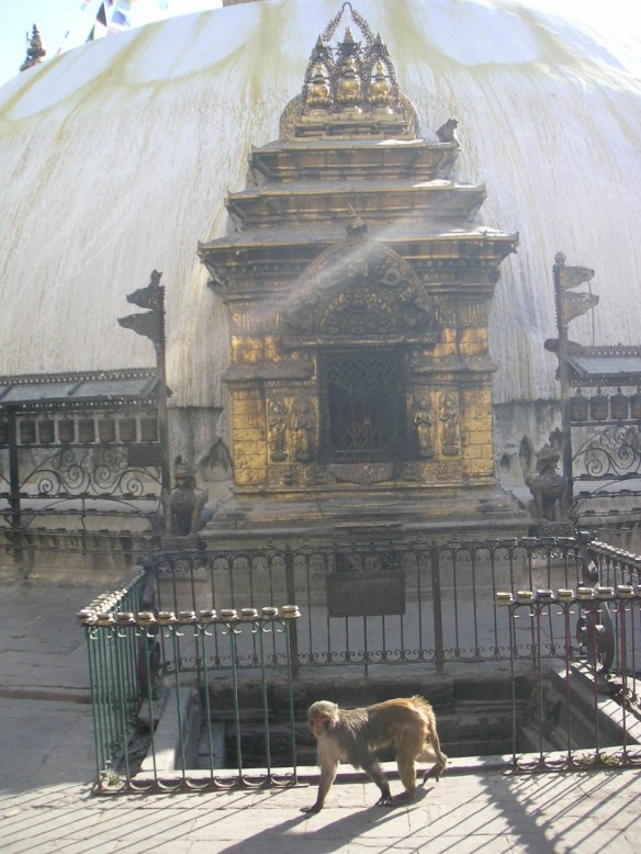 KONICA MINOLTA DIGITAL CAMERA