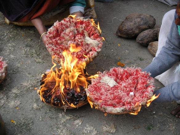 KONICA MINOLTA DIGITAL CAMERA