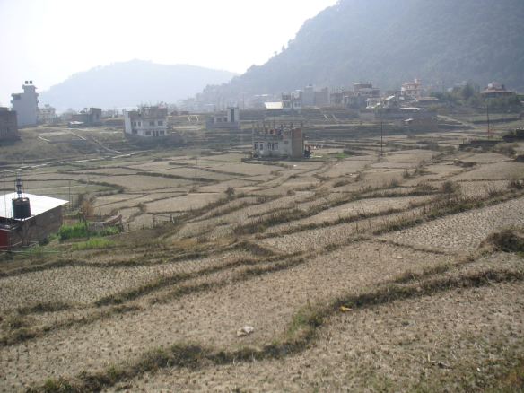 The rice paddies on the outskirts of Kathmandu - as you can see, it's been a very dry winter!