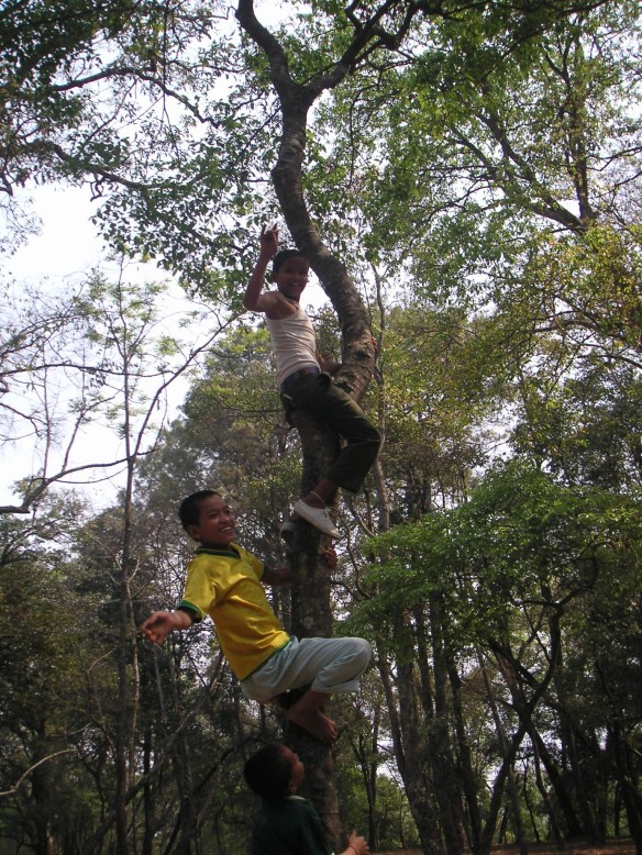 KONICA MINOLTA DIGITAL CAMERA