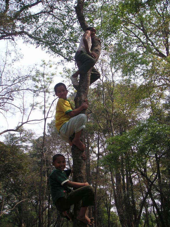 KONICA MINOLTA DIGITAL CAMERA