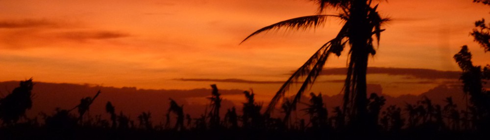 Had we but world enough and time…