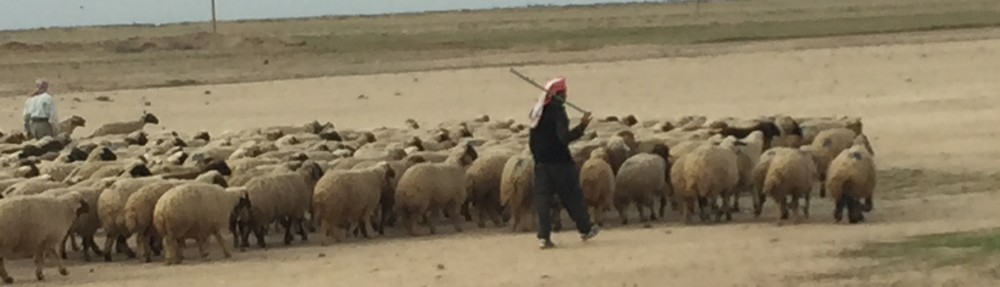 Had we but world enough and time…