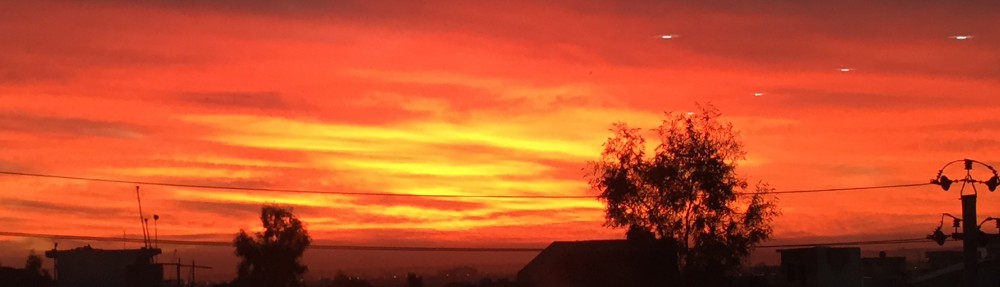 Had we but world enough and time…