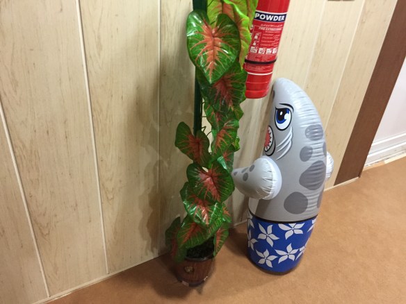 This one was obviously sent to the naughty corner. Bad shark!