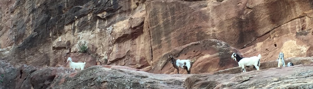 Had we but world enough and time…