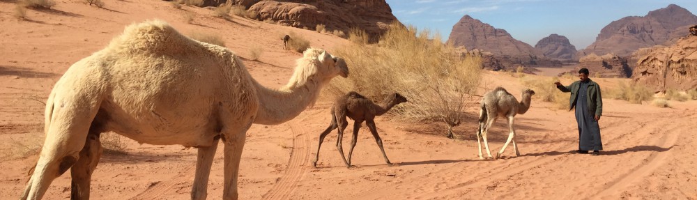 Had we but world enough and time…