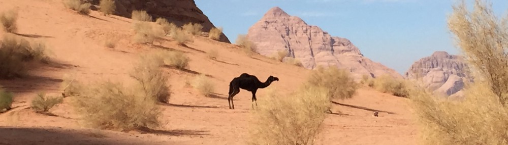 Had we but world enough and time…