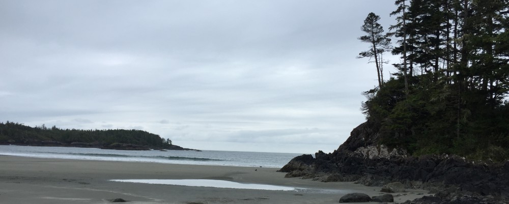 Had we but world enough and time…