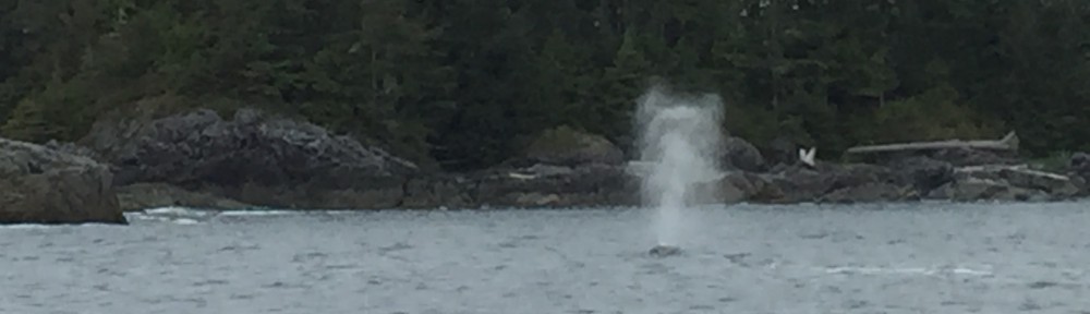 Had we but world enough and time…