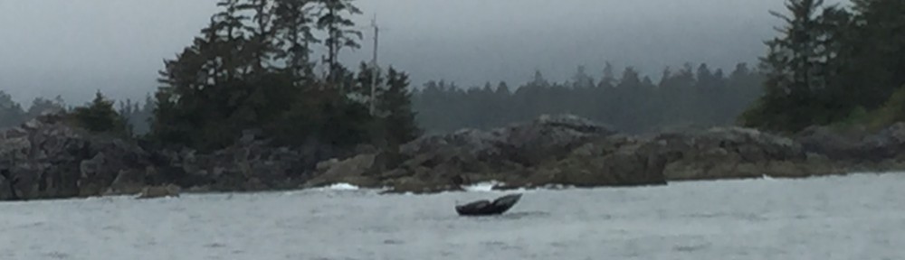 Had we but world enough and time…