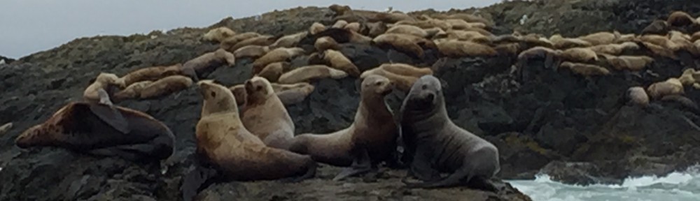 Had we but world enough and time…