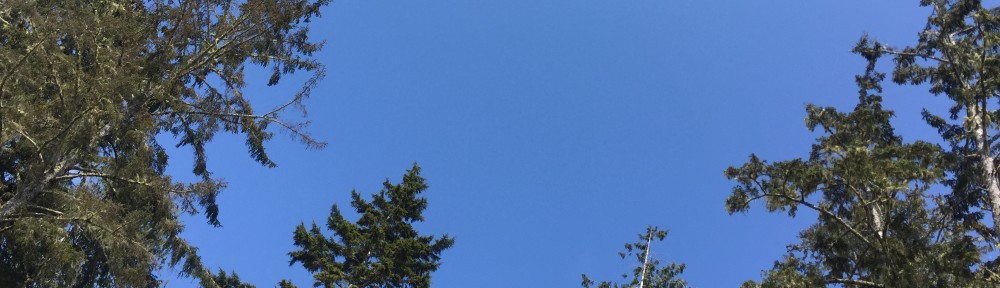 Had we but world enough and time…