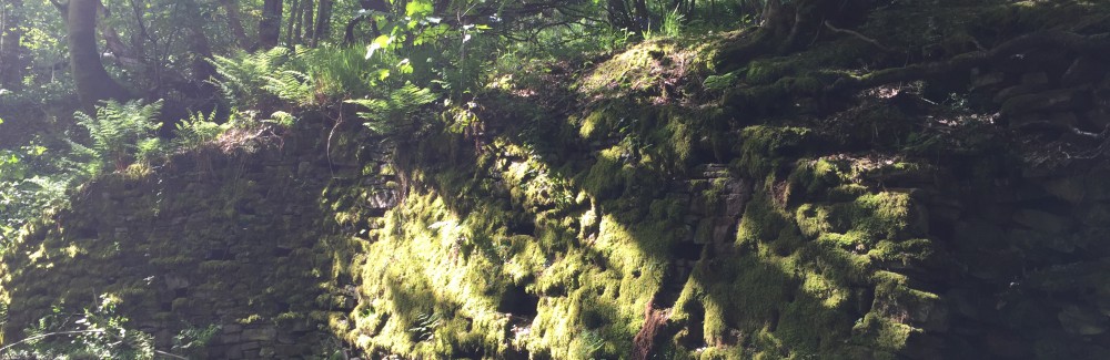 Had we but world enough and time…