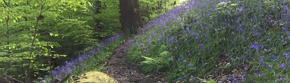 Had we but world enough and time…