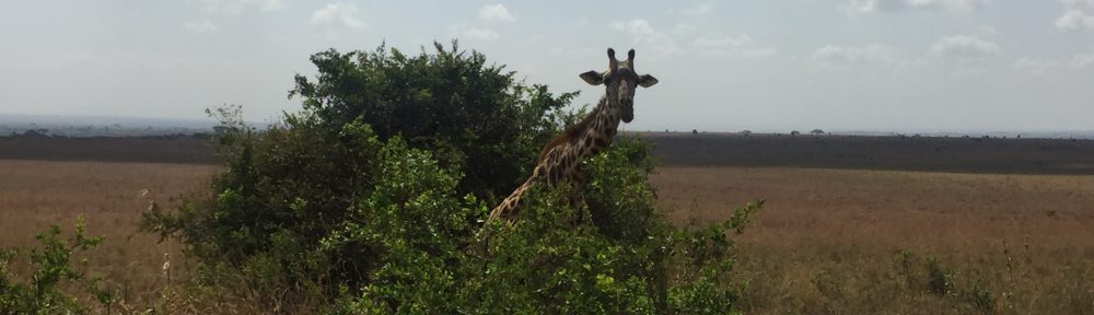 Had we but world enough and time…