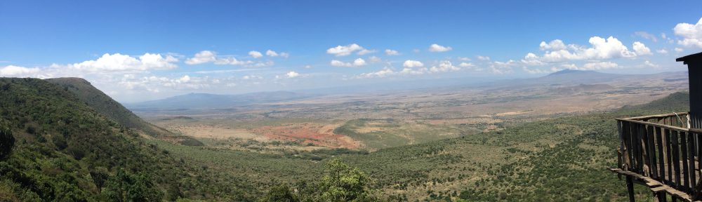 Had we but world enough and time…