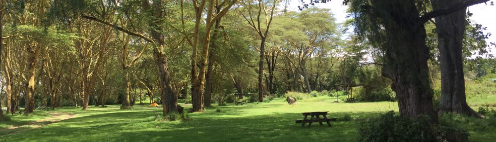 Had we but world enough and time…