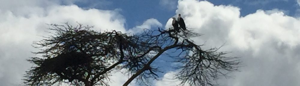 Had we but world enough and time…