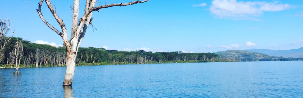 Had we but world enough and time…