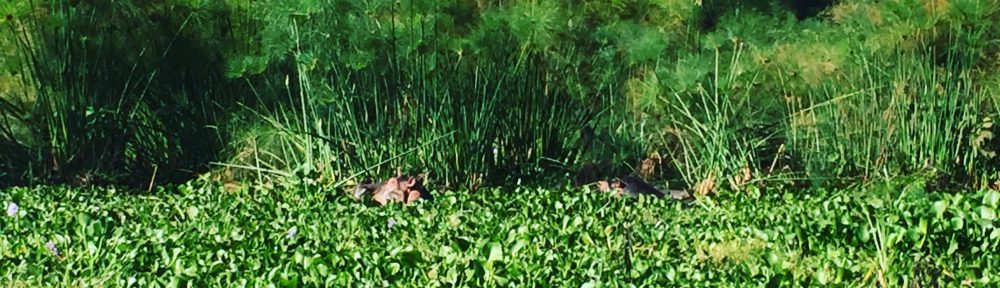 Had we but world enough and time…