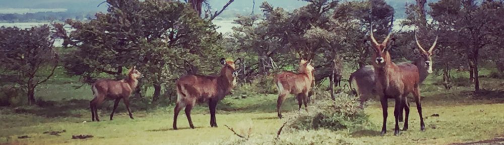 Had we but world enough and time…