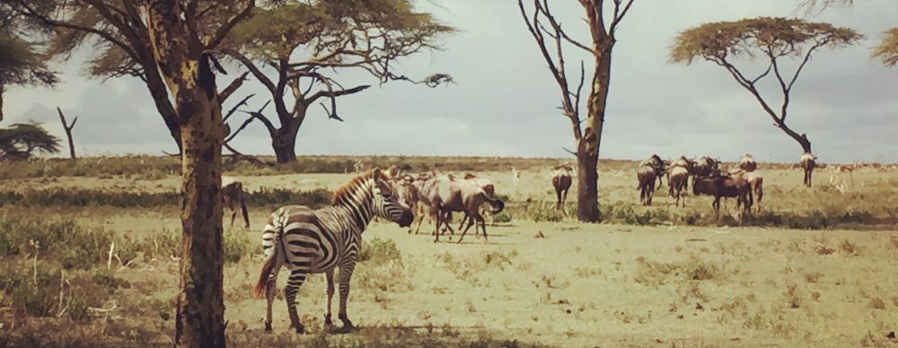 Had we but world enough and time…