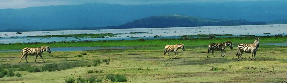 Had we but world enough and time…