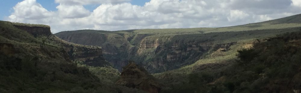 Had we but world enough and time…