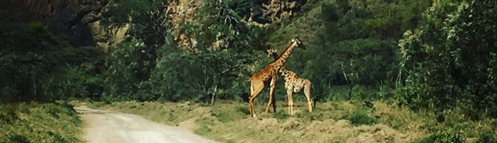 Had we but world enough and time…