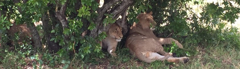 Had we but world enough and time…