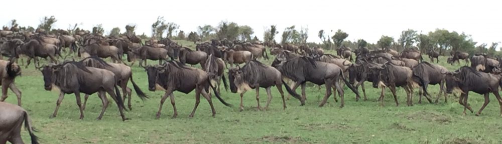 Had we but world enough and time…